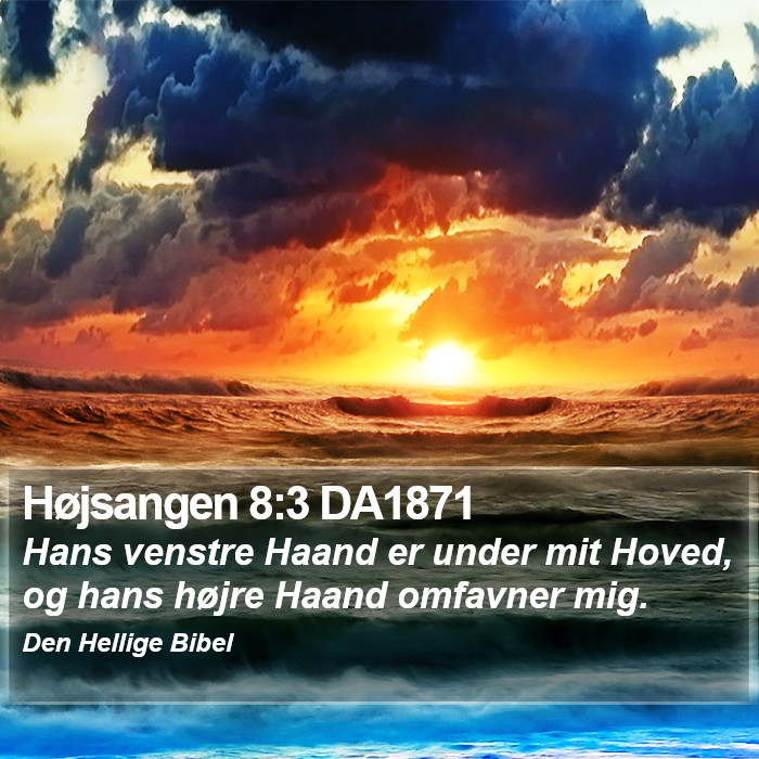 Højsangen 8:3 DA1871 Bible Study