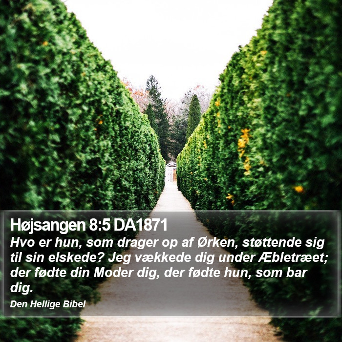 Højsangen 8:5 DA1871 Bible Study