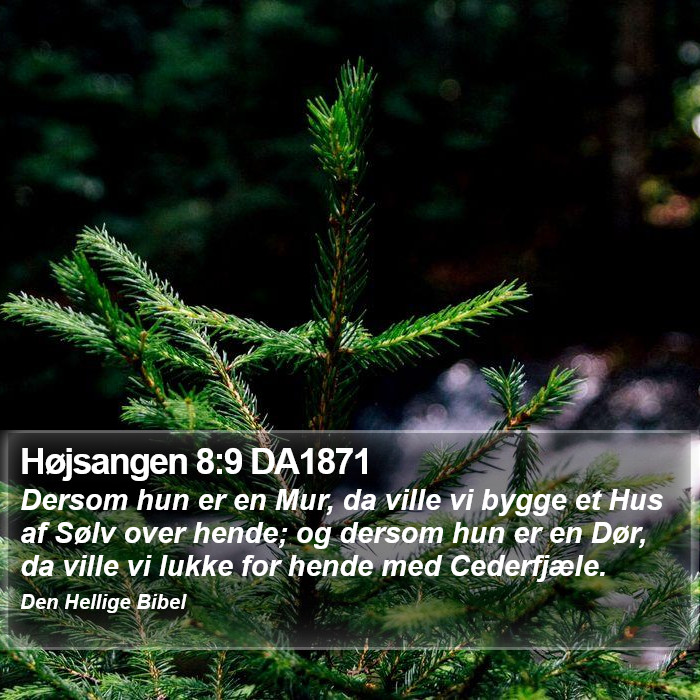 Højsangen 8:9 DA1871 Bible Study