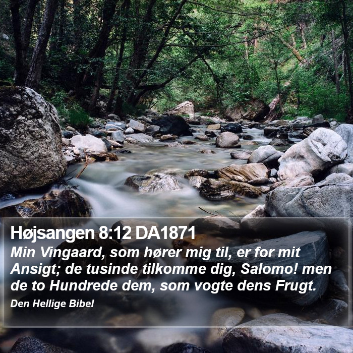 Højsangen 8:12 DA1871 Bible Study