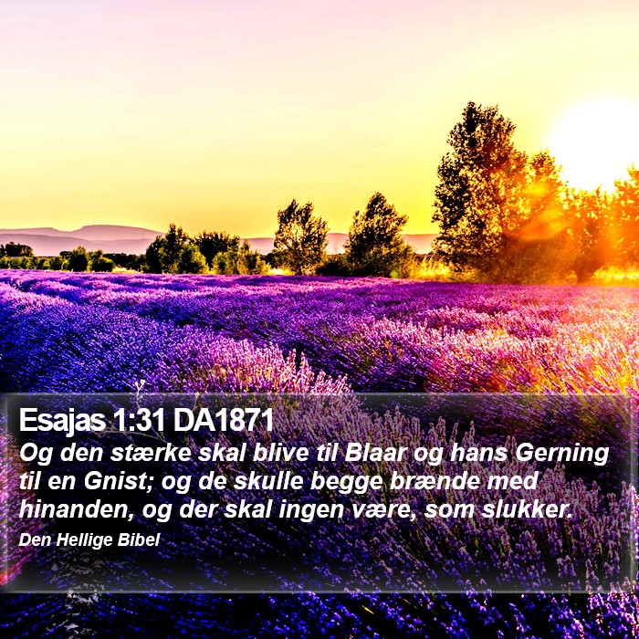 Esajas 1:31 DA1871 Bible Study