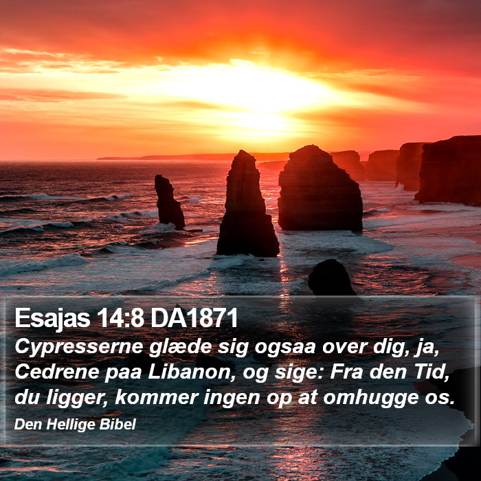 Esajas 14:8 DA1871 Bible Study