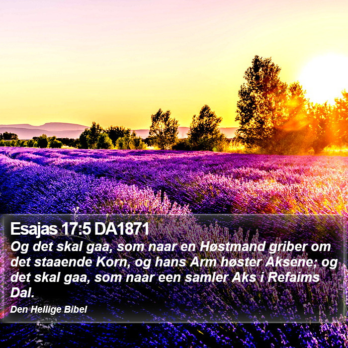 Esajas 17:5 DA1871 Bible Study