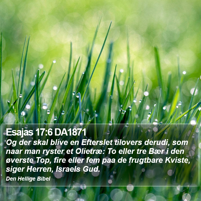 Esajas 17:6 DA1871 Bible Study