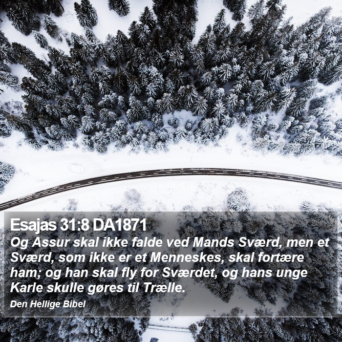 Esajas 31:8 DA1871 Bible Study