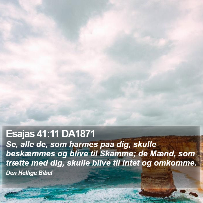 Esajas 41:11 DA1871 Bible Study