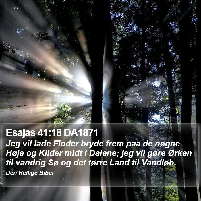 Esajas 41:18 DA1871 Bible Study