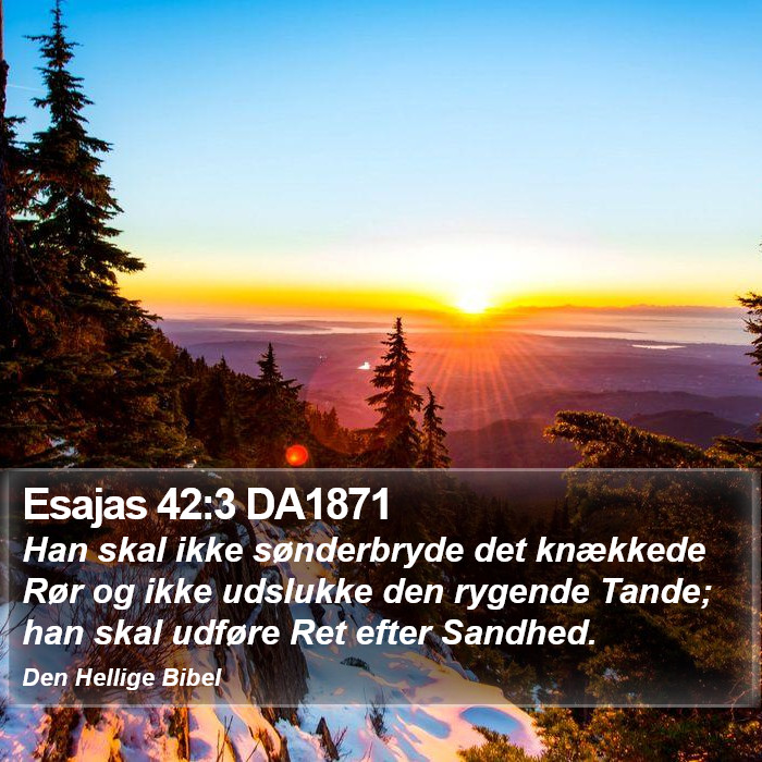 Esajas 42:3 DA1871 Bible Study