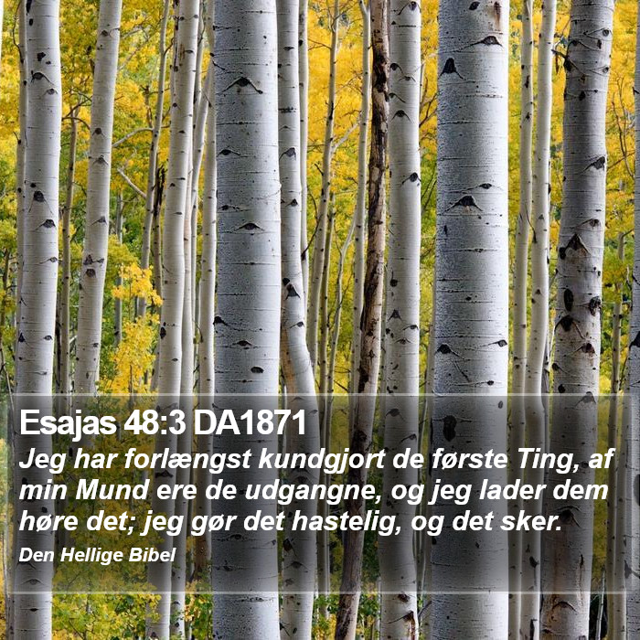 Esajas 48:3 DA1871 Bible Study