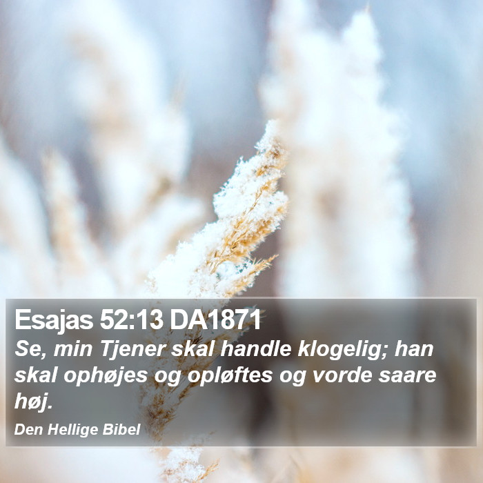 Esajas 52:13 DA1871 Bible Study