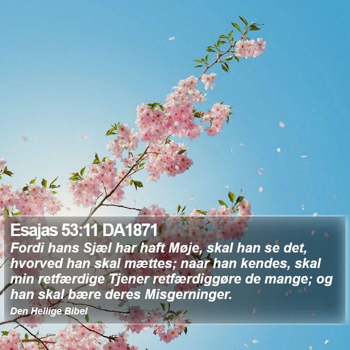 Esajas 53:11 DA1871 Bible Study