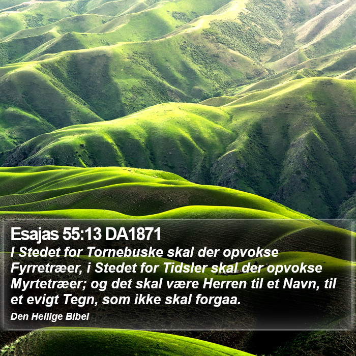 Esajas 55:13 DA1871 Bible Study