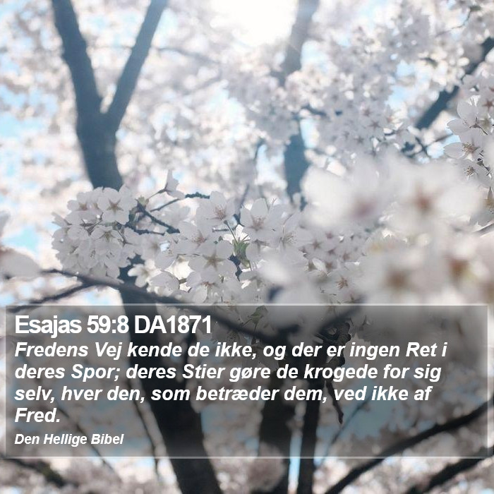 Esajas 59:8 DA1871 Bible Study