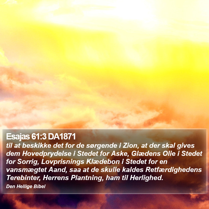 Esajas 61:3 DA1871 Bible Study