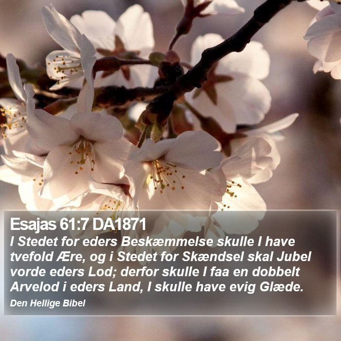 Esajas 61:7 DA1871 Bible Study