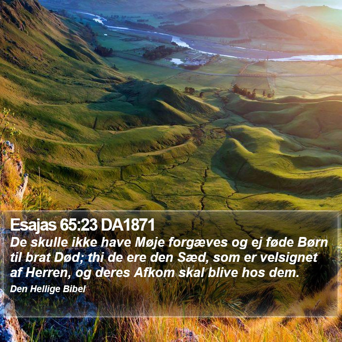 Esajas 65:23 DA1871 Bible Study