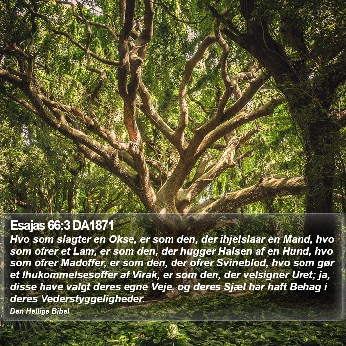 Esajas 66:3 DA1871 Bible Study