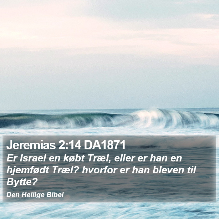 Jeremias 2:14 DA1871 Bible Study