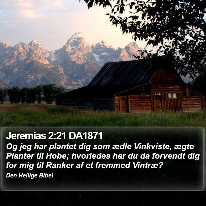 Jeremias 2:21 DA1871 Bible Study