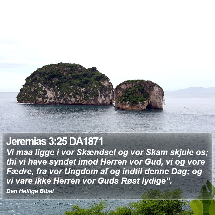 Jeremias 3:25 DA1871 Bible Study