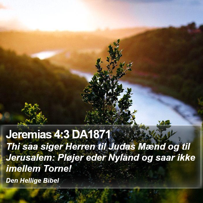 Jeremias 4:3 DA1871 Bible Study