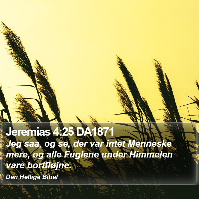 Jeremias 4:25 DA1871 Bible Study