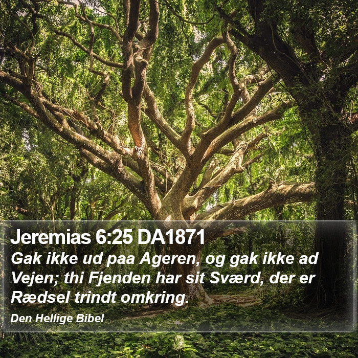 Jeremias 6:25 DA1871 Bible Study