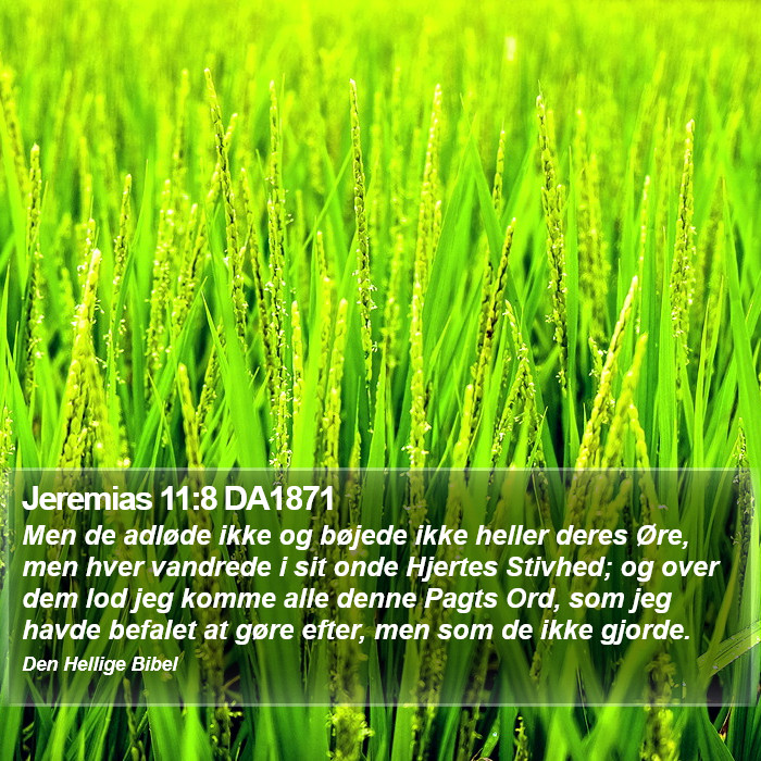 Jeremias 11:8 DA1871 Bible Study