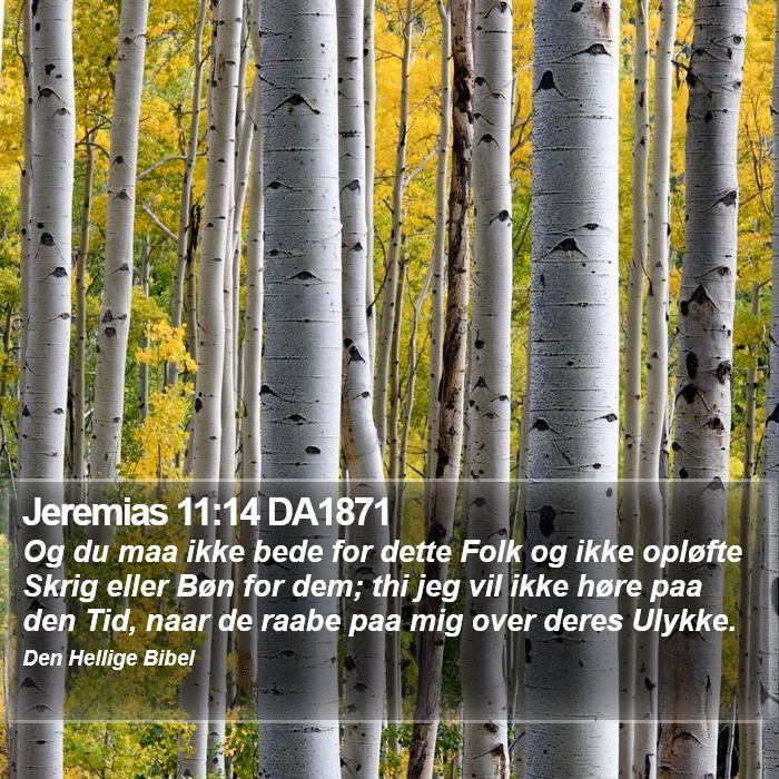 Jeremias 11:14 DA1871 Bible Study