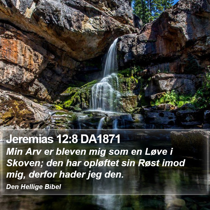 Jeremias 12:8 DA1871 Bible Study