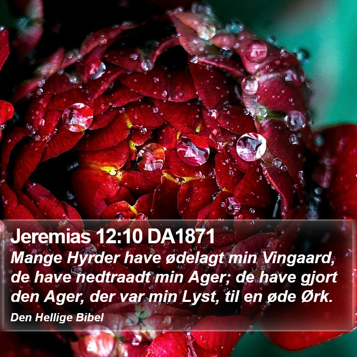 Jeremias 12:10 DA1871 Bible Study