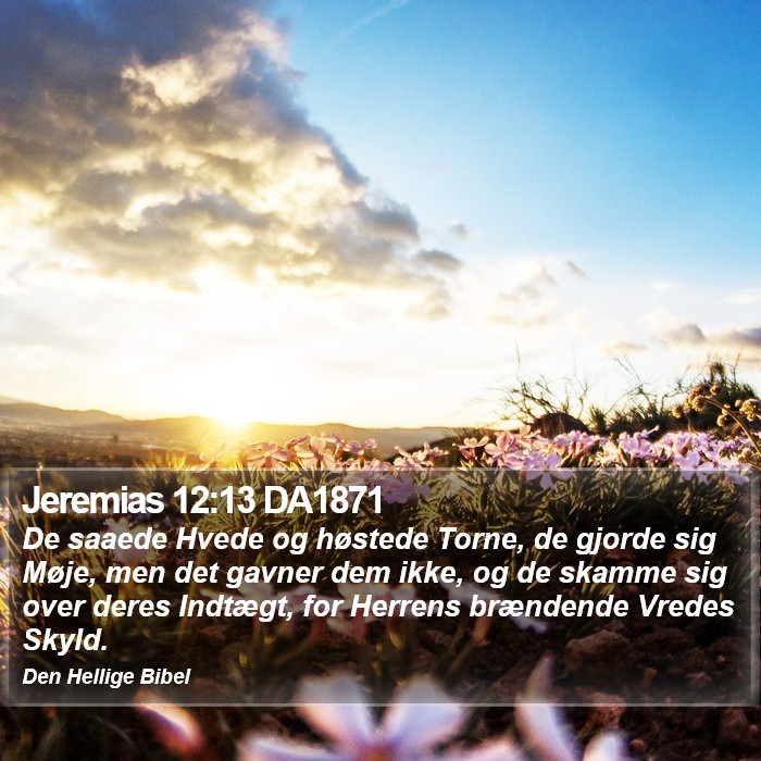 Jeremias 12:13 DA1871 Bible Study