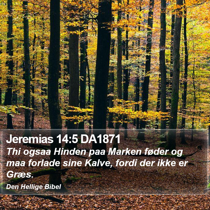 Jeremias 14:5 DA1871 Bible Study