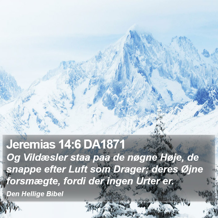 Jeremias 14:6 DA1871 Bible Study