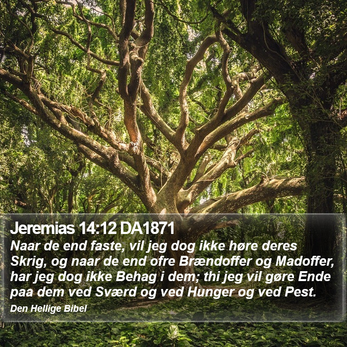 Jeremias 14:12 DA1871 Bible Study