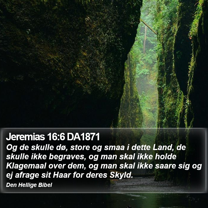 Jeremias 16:6 DA1871 Bible Study