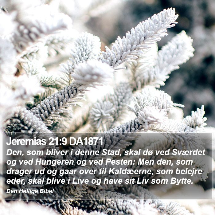 Jeremias 21:9 DA1871 Bible Study