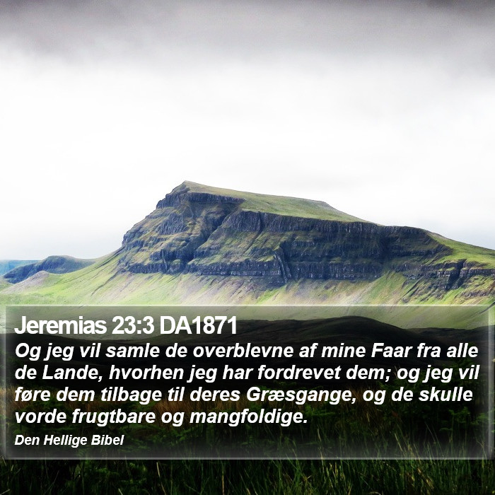 Jeremias 23:3 DA1871 Bible Study