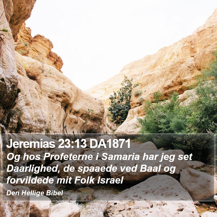 Jeremias 23:13 DA1871 Bible Study