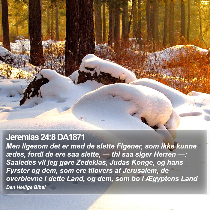 Jeremias 24:8 DA1871 Bible Study