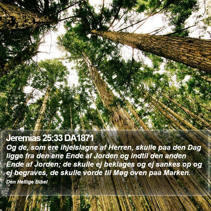 Jeremias 25:33 DA1871 Bible Study