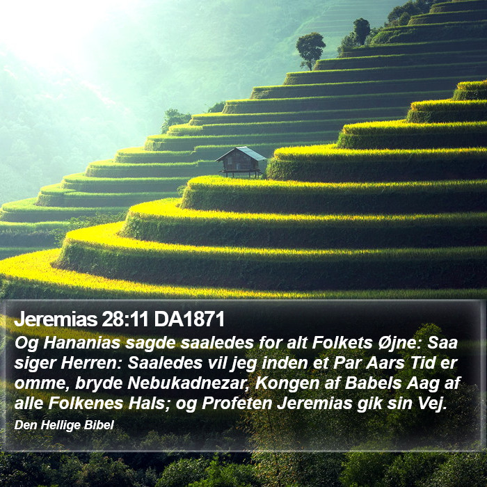 Jeremias 28:11 DA1871 Bible Study