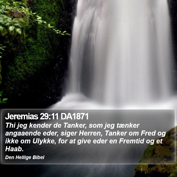 Jeremias 29:11 DA1871 Bible Study