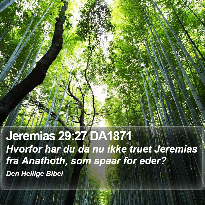 Jeremias 29:27 DA1871 Bible Study