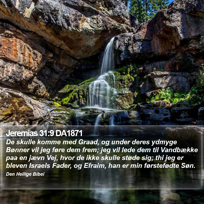 Jeremias 31:9 DA1871 Bible Study