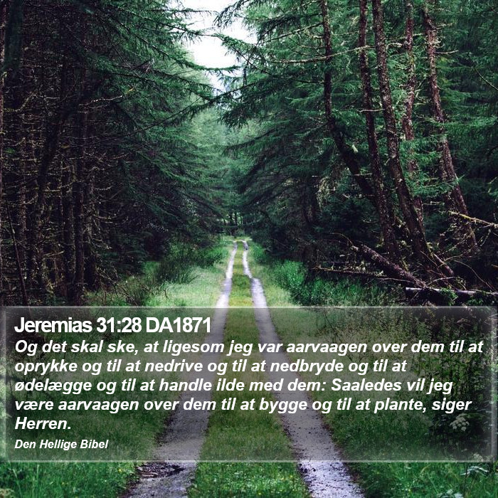 Jeremias 31:28 DA1871 Bible Study