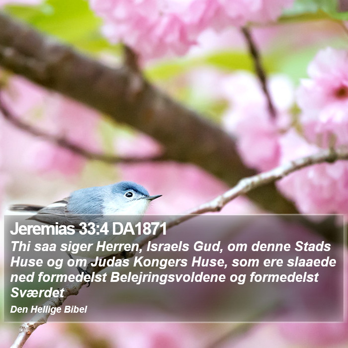 Jeremias 33:4 DA1871 Bible Study