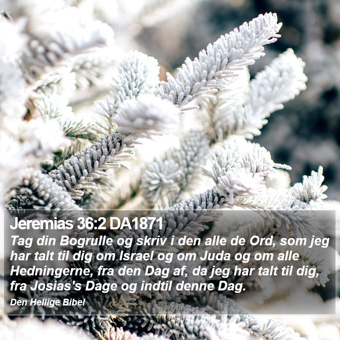 Jeremias 36:2 DA1871 Bible Study