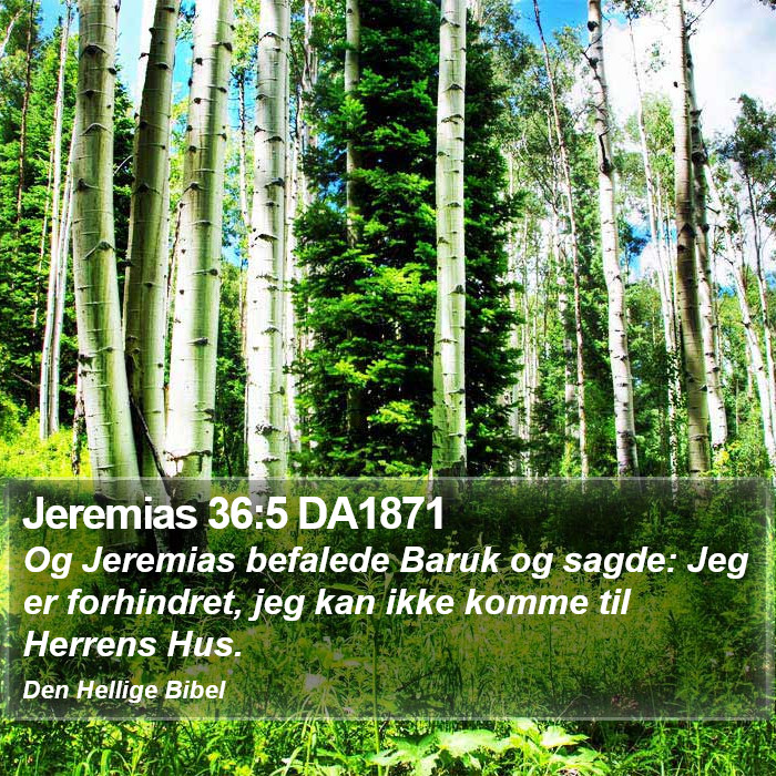 Jeremias 36:5 DA1871 Bible Study