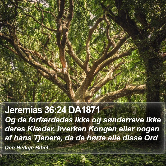 Jeremias 36:24 DA1871 Bible Study